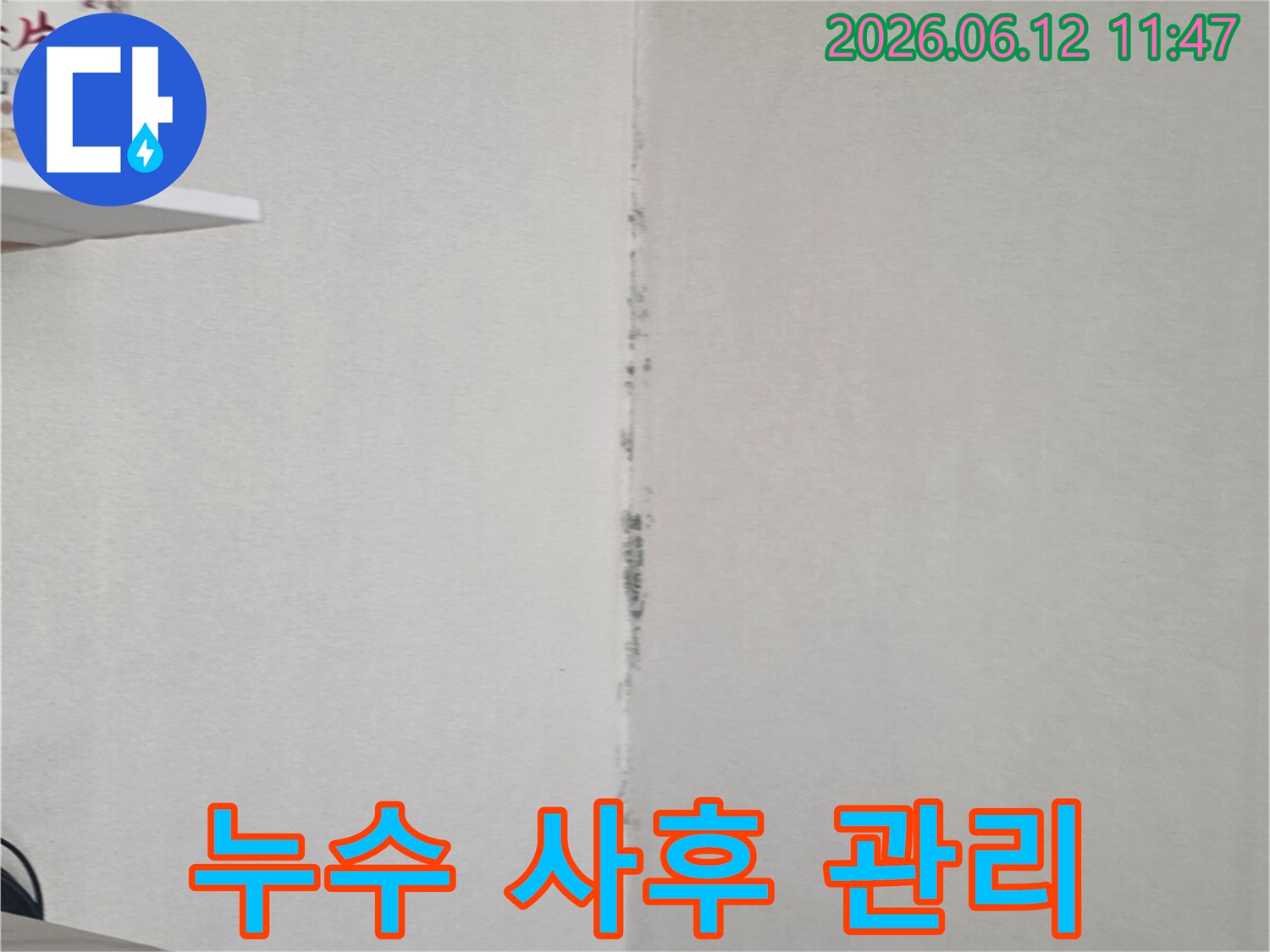 천장 모서리에 검은 곰팡이가 번져 있어-누수 해결 후에도 꼼꼼한 사후 관리가 필요함을 보여줍니다.