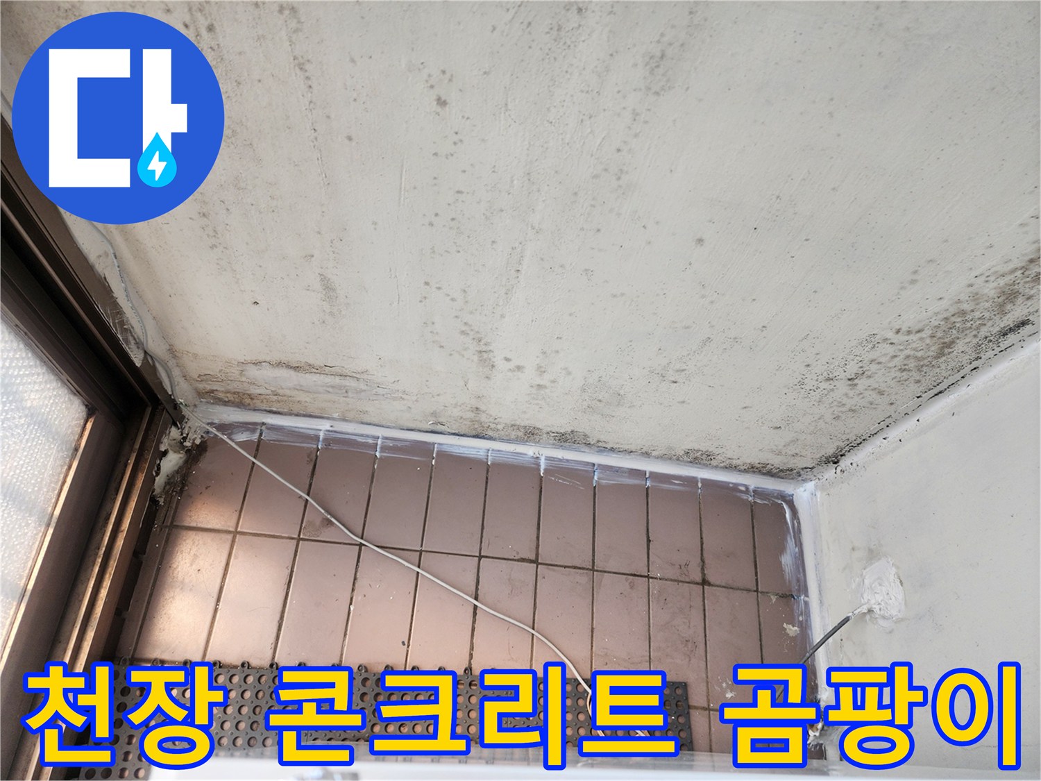 베란다 상단 벽체 - 물샘으로 인해 곰팡이가 번진 콘크리트 표면