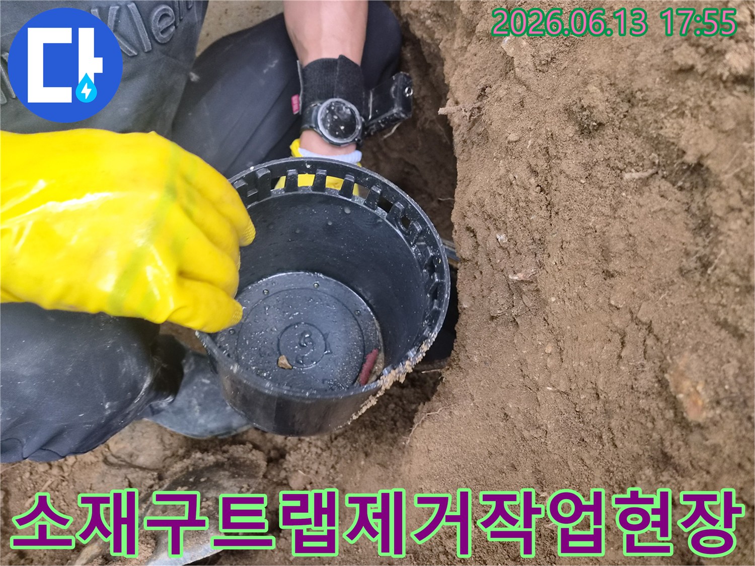 노란색 장갑을 낀 작업자가 흙 속에서 꺼낸 소재구 트랩을 제거하는 모습