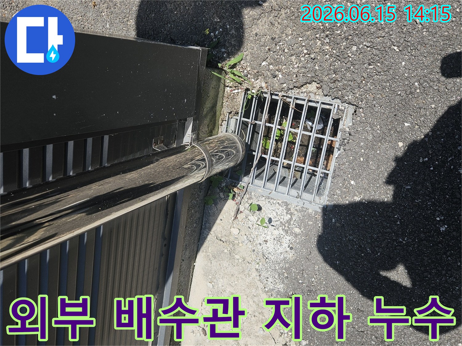 이 이미지는 외부 배수관과-지하 누수의-연관성을-확인하기 위해-배수구 주변을-점검하는-모습을-담고 있습니다