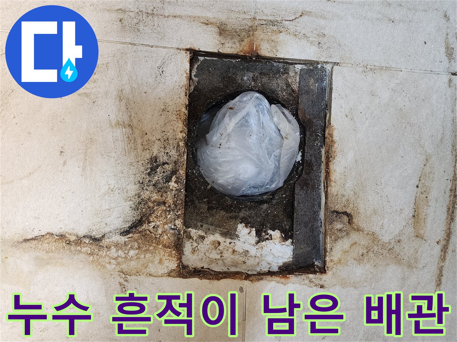 변기 탈거 후 드러난 오염되고 습한 배관 입구 주변 상황