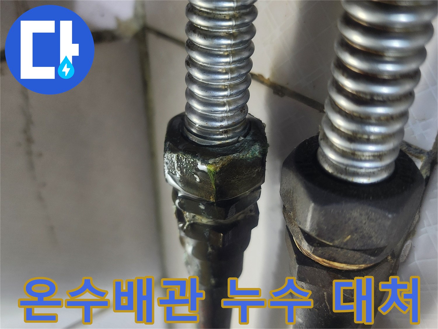 이 이미지는 노후된 온수배관의 연결 부위에서-녹색 부식과 함께 물이 새는-누수 흔적 발견 시 즉각적인 대처의 중요성을 보여줍니다.