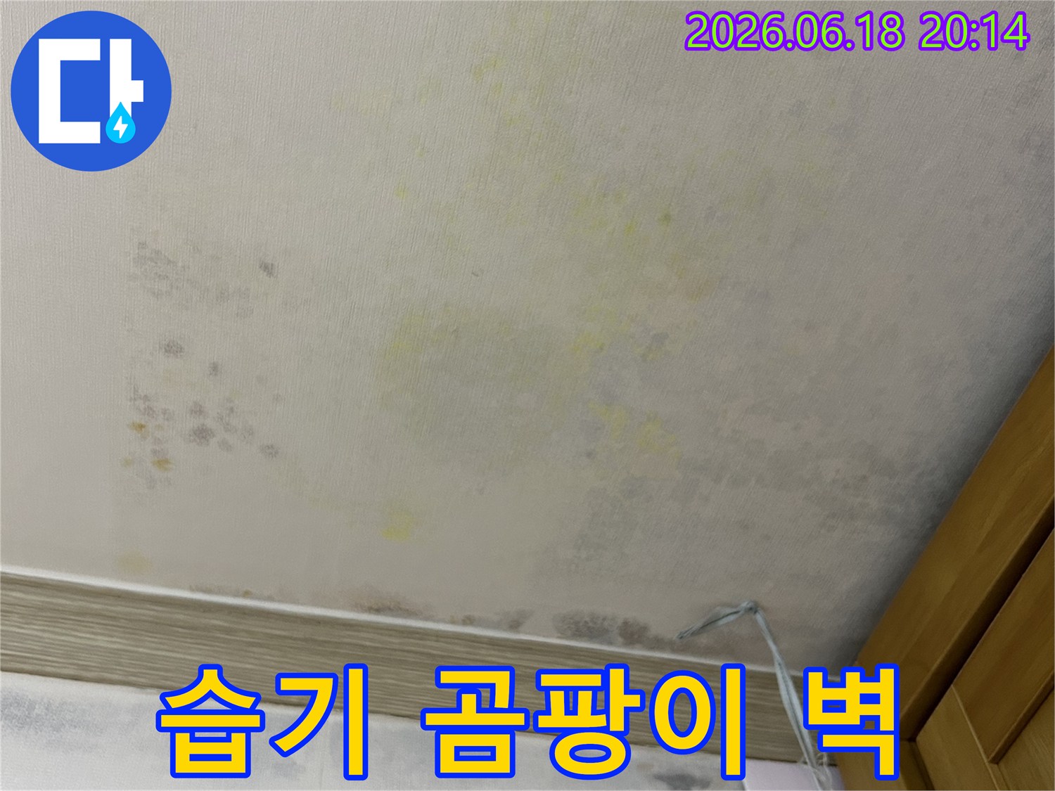 습기와-누수로-인해-벽면에-곰팡이가-심하게-번식한-모습을-보여주는-사진입니다.