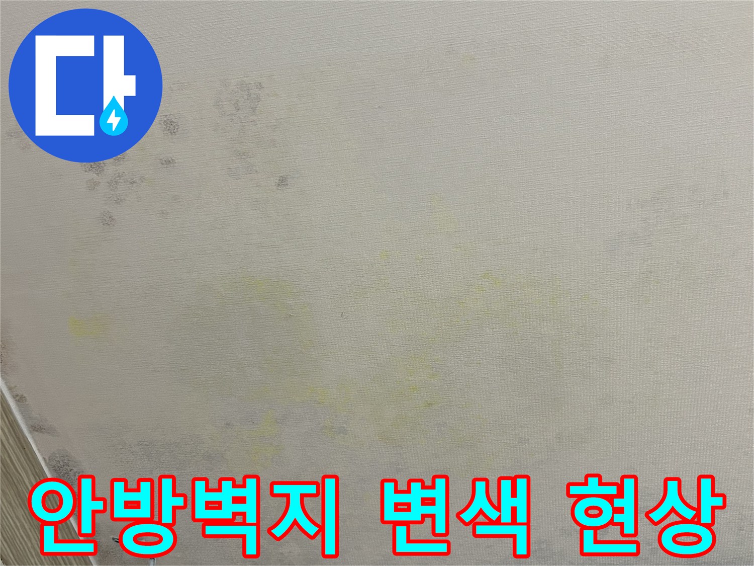 연수구 아파트 안방 천장 벽지의 노란 얼룩과 곰팡이 흔적