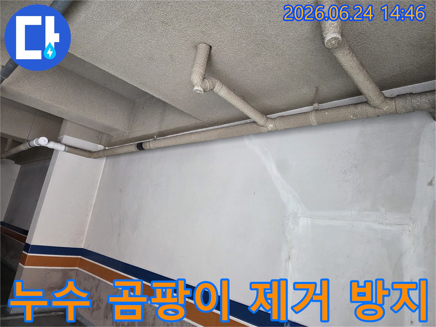 성북구-동선동-건물-지하-누수-로-인한-곰팡이-제거-및-방지-작업