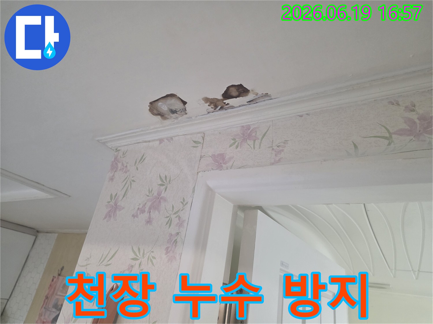 천장-도배지-위로-번진-누수-얼룩과-곰팡이-발생-사진