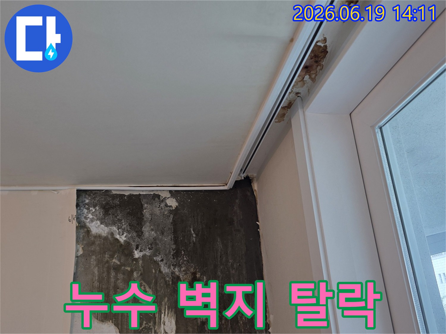 누수로-인해-벽지가-심하게-탈락하고-곰팡이가-번져-있는-인천-계양구-아파트-벽면-현장-사진