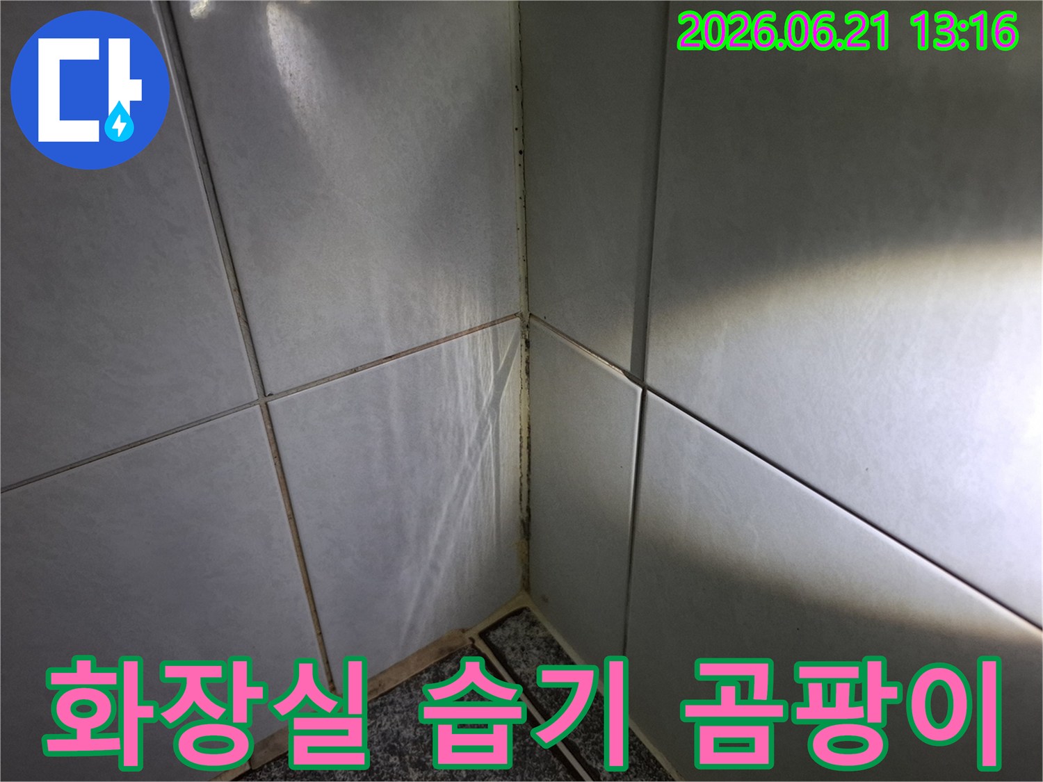 화장실-타일-모서리에-발생한-습기와-곰팡이를-보여주며-누수-가능성을-시사하는-사진