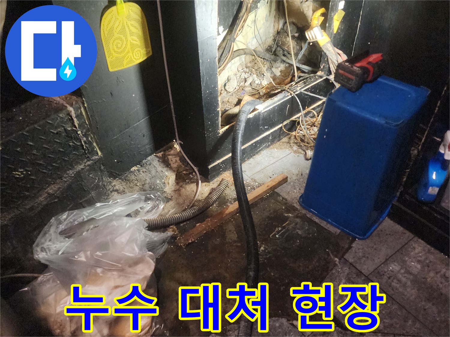 누수-발생-현장에서-전문가가-상황을-파악하고-적절한-대응-방안을-모색하는-모습