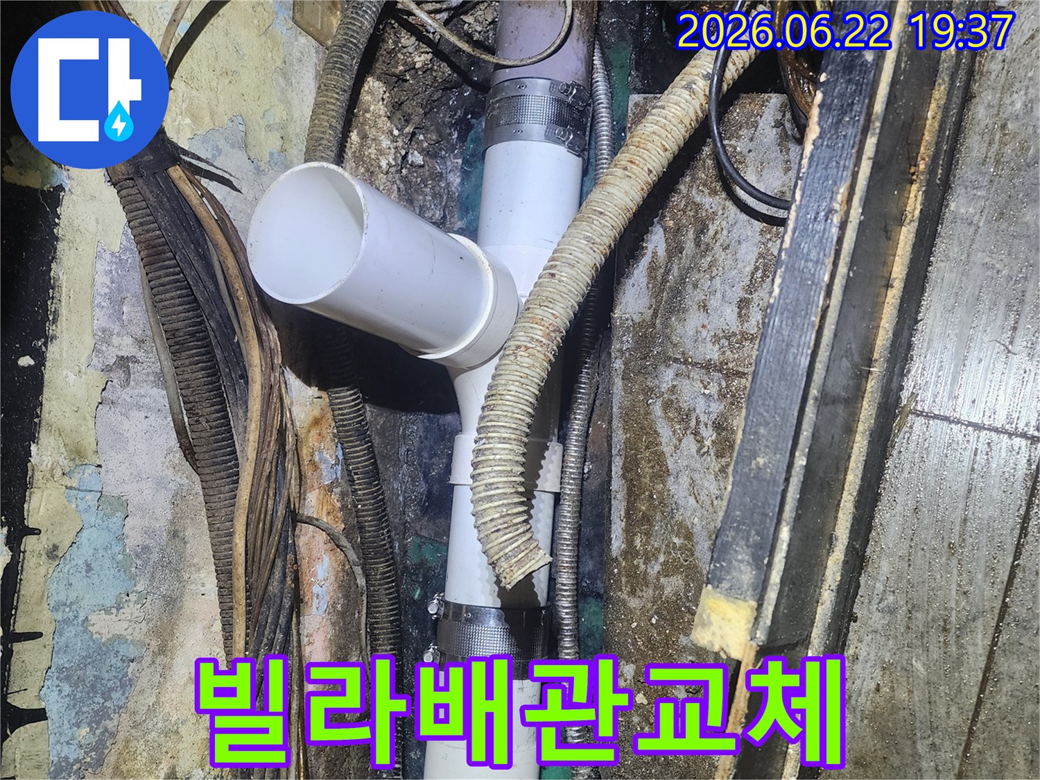 빌라-누수-현장에서-굴착-후-손상된-배관을-새로운-자재로-교체하는-전문적인-작업