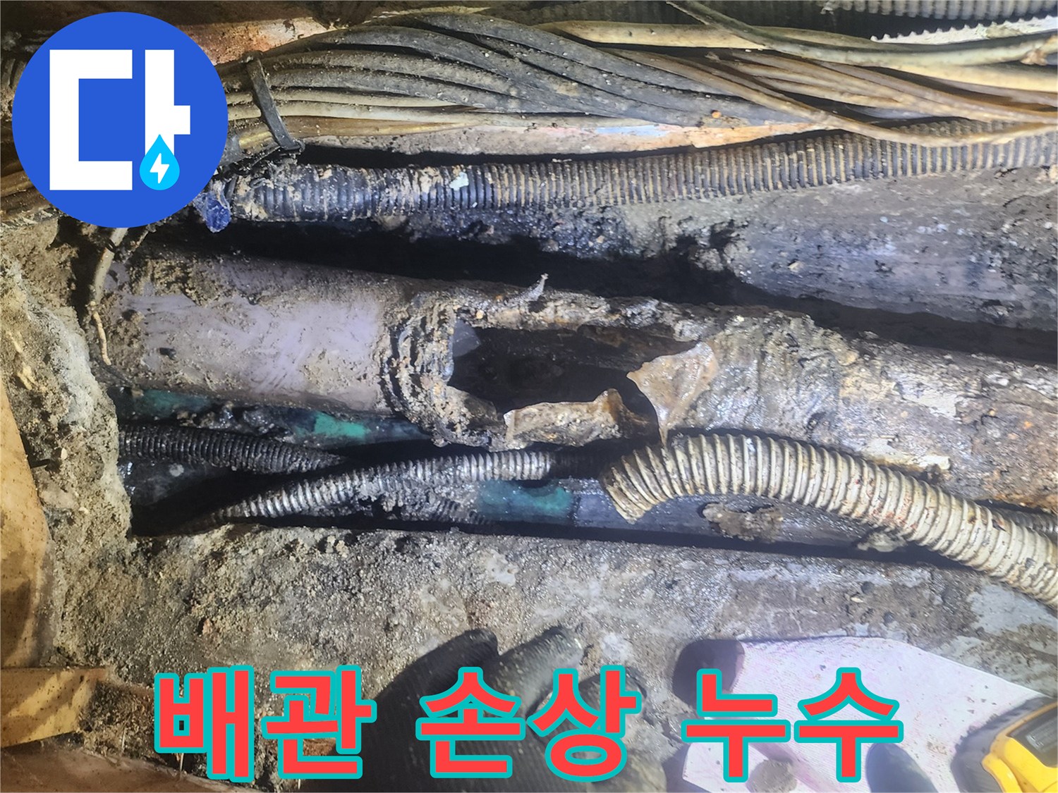손상된-배관에서-누수가-발생한-현장을-전문가가-정밀하게-점검하며-원인을-파악하는-모습