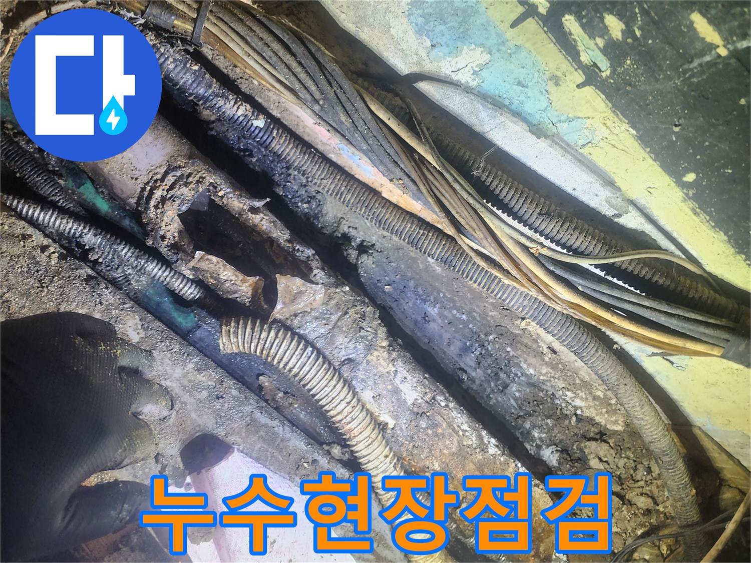 오래된-건물-지하에서-발견된-배관-파열-현장과-탐지-작업