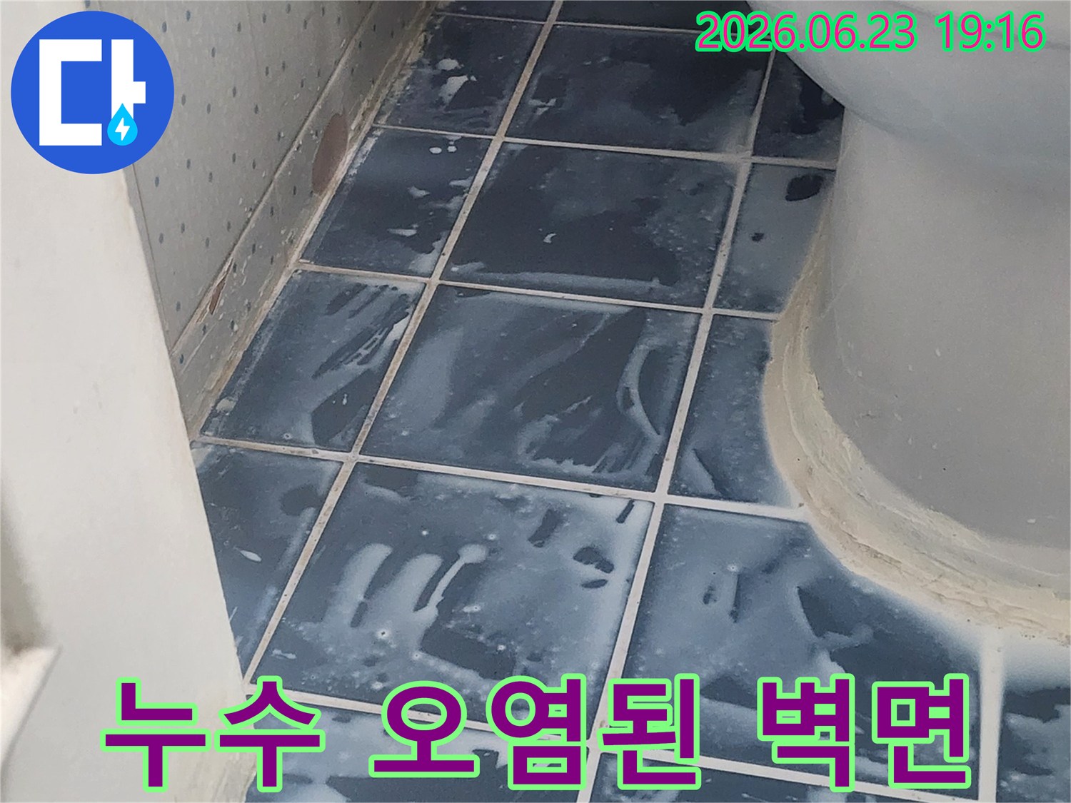 아파트 화장실 누수 현장에서 발견된 오염된 타일 표면