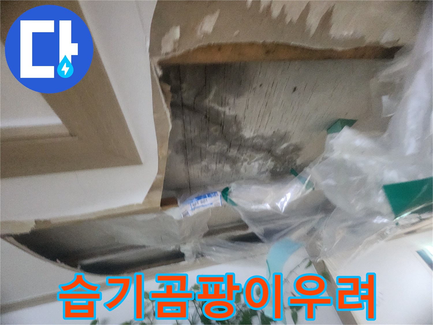 천장 내부의 습기와-물 자국으로 인한-곰팡이 발생 우려를 보여주는-누수 현장입니다
