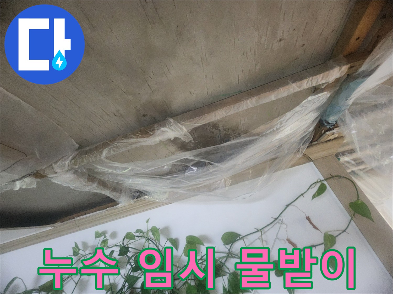 천장 누수 발생 시-추가적인 물 피해를 막기 위해 설치한 비닐 물받이의 모습