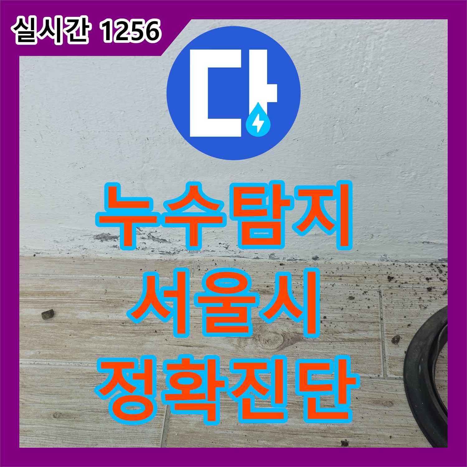 누수탐지전문가, 누수 흔적, 첨단 장비로 숨겨진 원인을 찾아내는 탐지 전문가의 이야기 - 서울 하계동