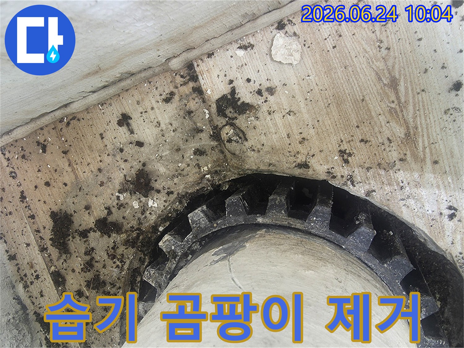 오래된 배관 주변에-물이 새어-검은 곰팡이와-물때가 심하게-생긴 모습을-보여주는 누수 현장
