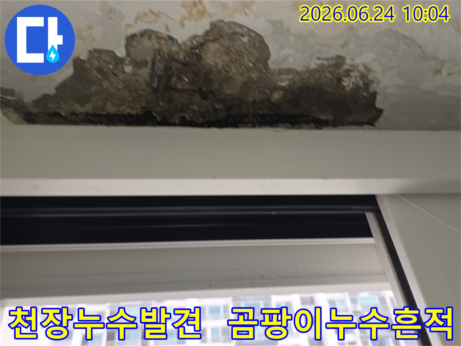 천장에서-발견된-심각한-누수-피해-흔적과-곰팡이-발생-모습