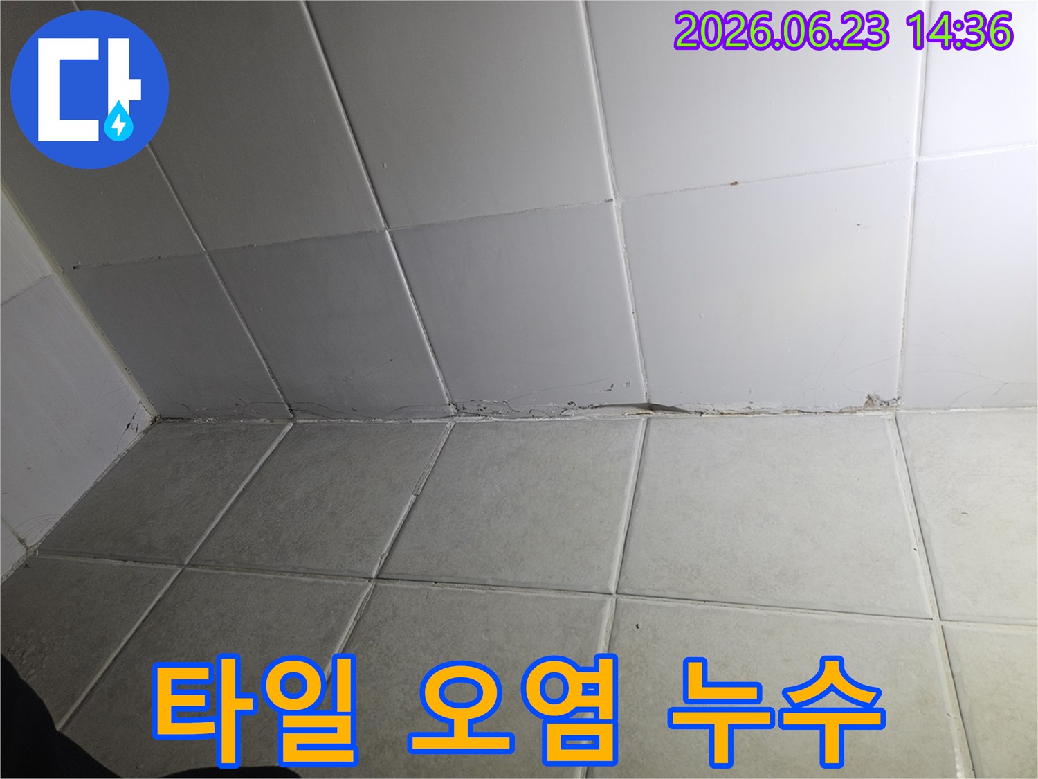 타일-벽과-바닥의-경계면에서-발견된-오염과-곰팡이는-지속적인-누수로-인한-습기-축적의-결과입니다-이는-건물의-구조적-손상으로-이어질-수-있습니다.