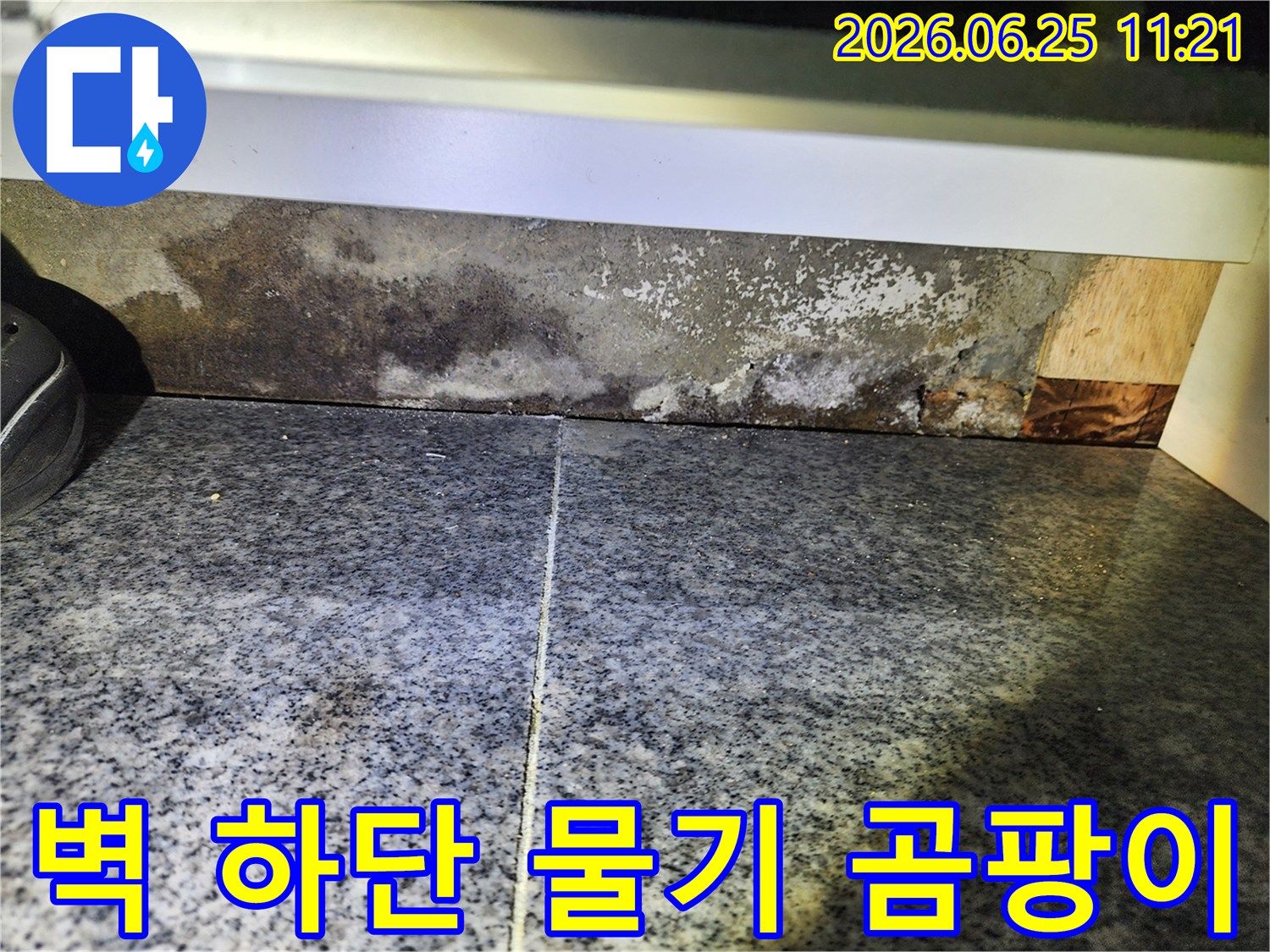 벽면 하단에-지속적인 물기로 인해-곰팡이가 발생하고-벽지가 손상된 모습입니다