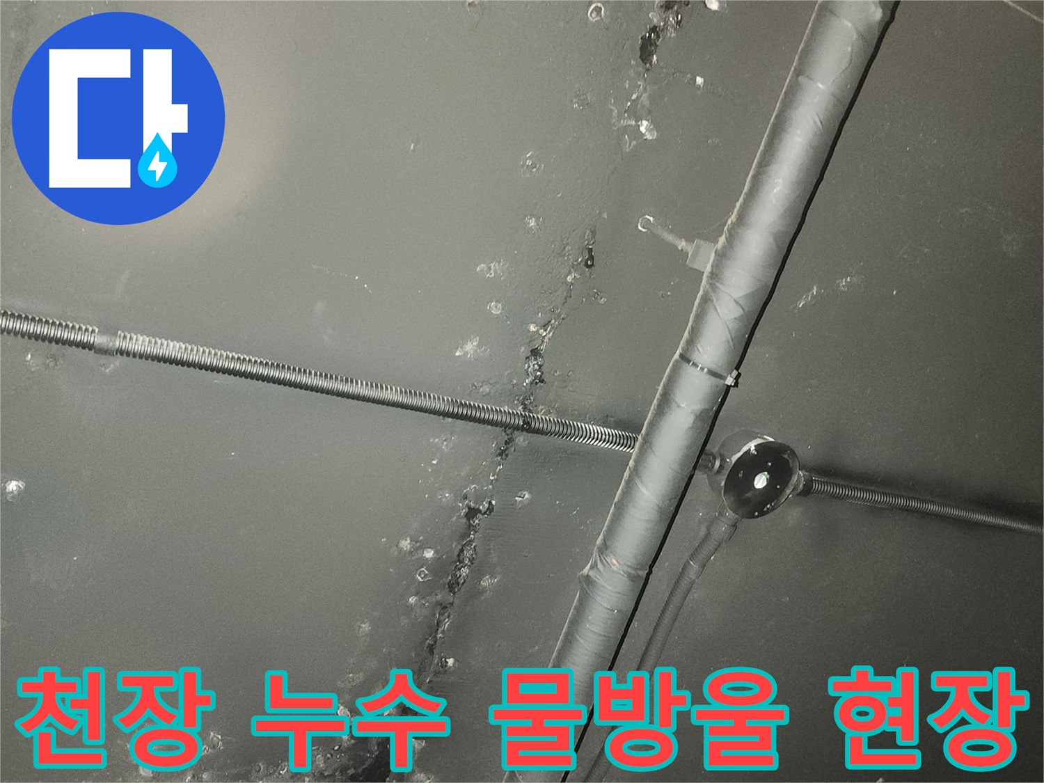 천장에서 물방울이 떨어지고-검은 얼룩이 번진-심각한 누수 상황을 보여주는 이미지입니다