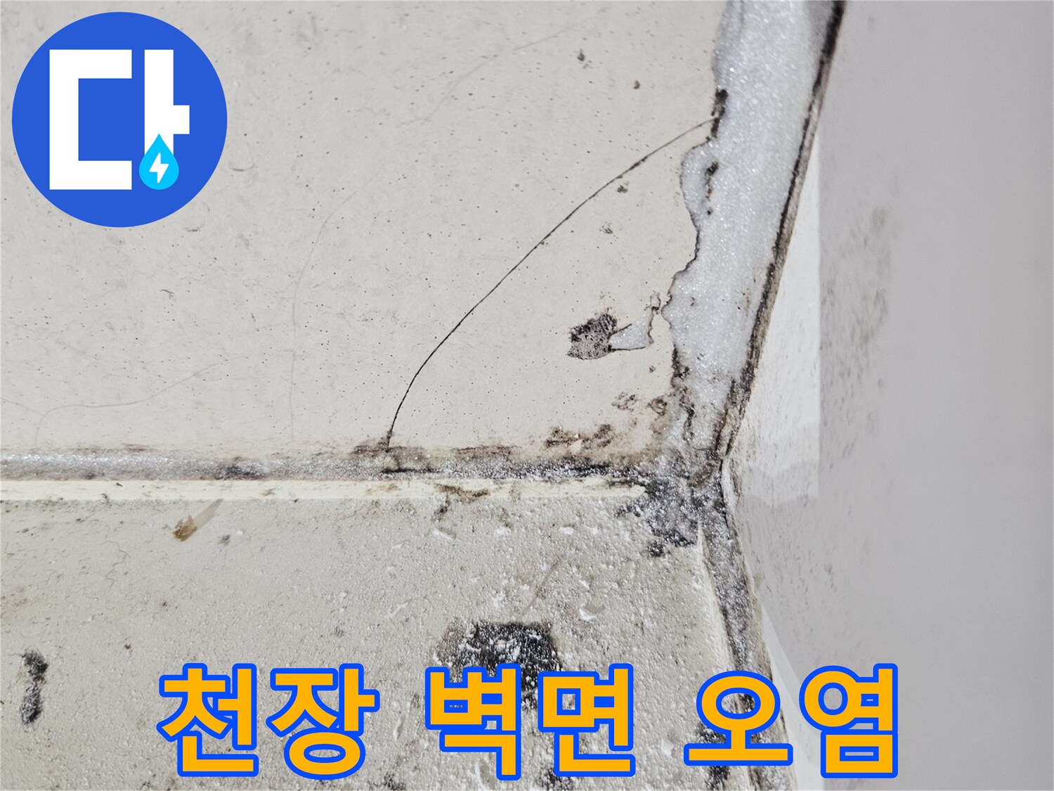 습기가 스며든 - 화장실 천장 모서리의 곰팡이 및 변색 현상