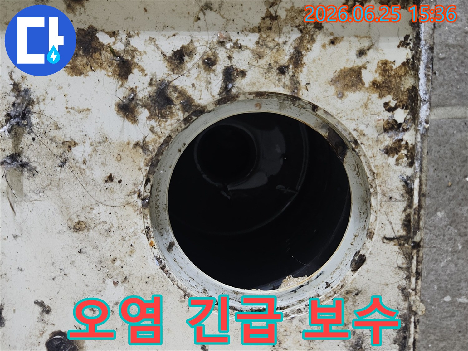 오염된 배수구 주변에 곰팡이와 이물질이 심하게 낀 모습-긴급 보수가 필요한 누수 현장입니다