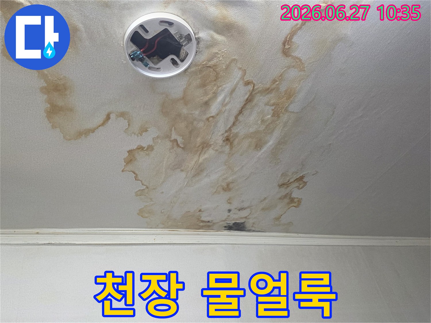 천장 누수로 인한-벽지 손상과-곰팡이 발생-가능성을 보여주는 사진