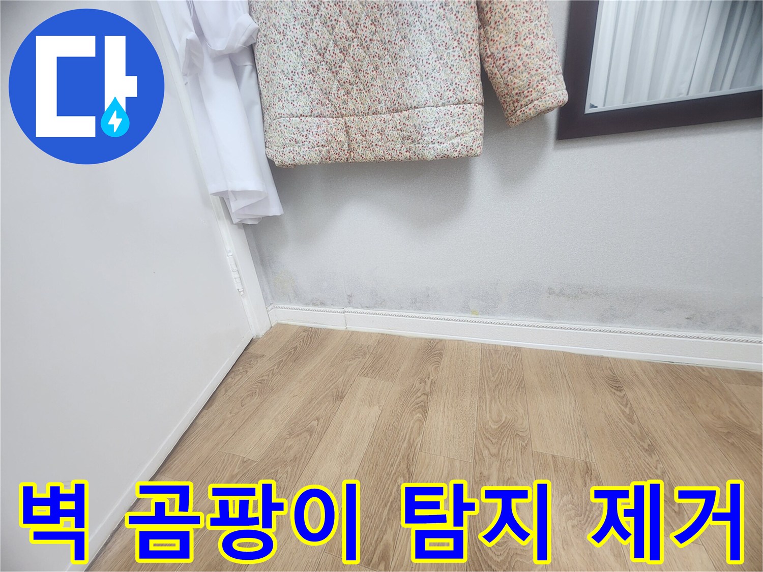 벽 하단에 발생한 곰팡이와-습기 자국은-누수로 인한 것임을 보여주며-누수 탐지 및 곰팡이 제거가 시급합니다.