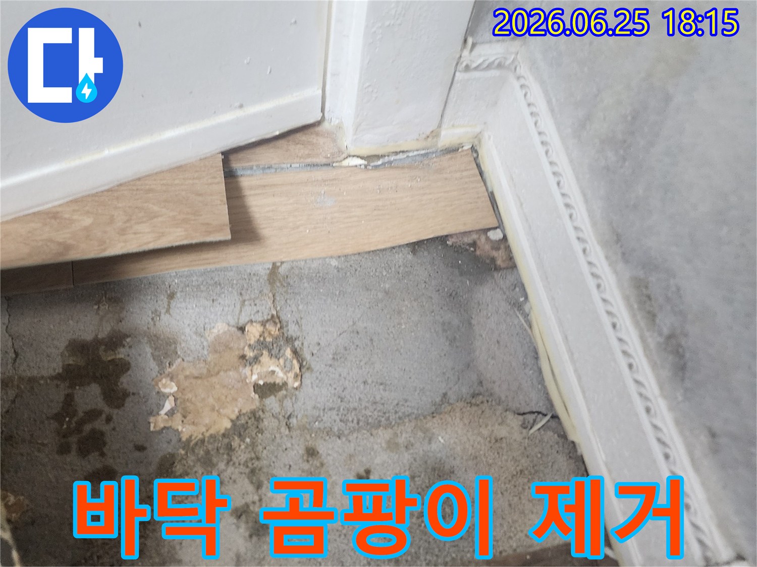 습기로 인해 변색되고-곰팡이가 시작된 듯한-바닥과 벽면 경계의-누수 현장 사진입니다.