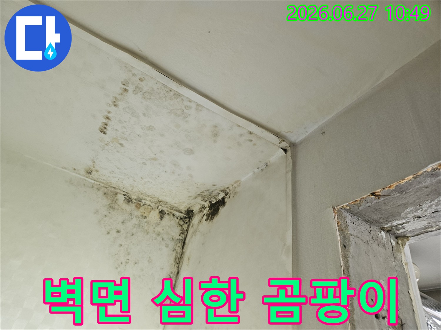 벽과 천장 모서리에 광범위하게 퍼진 검은 곰팡이 얼룩이 찍힌 사진입니다-이는 물이 새거나 결로 현상으로 인해 발생한 심각한 습기 문제를 시사합니다.