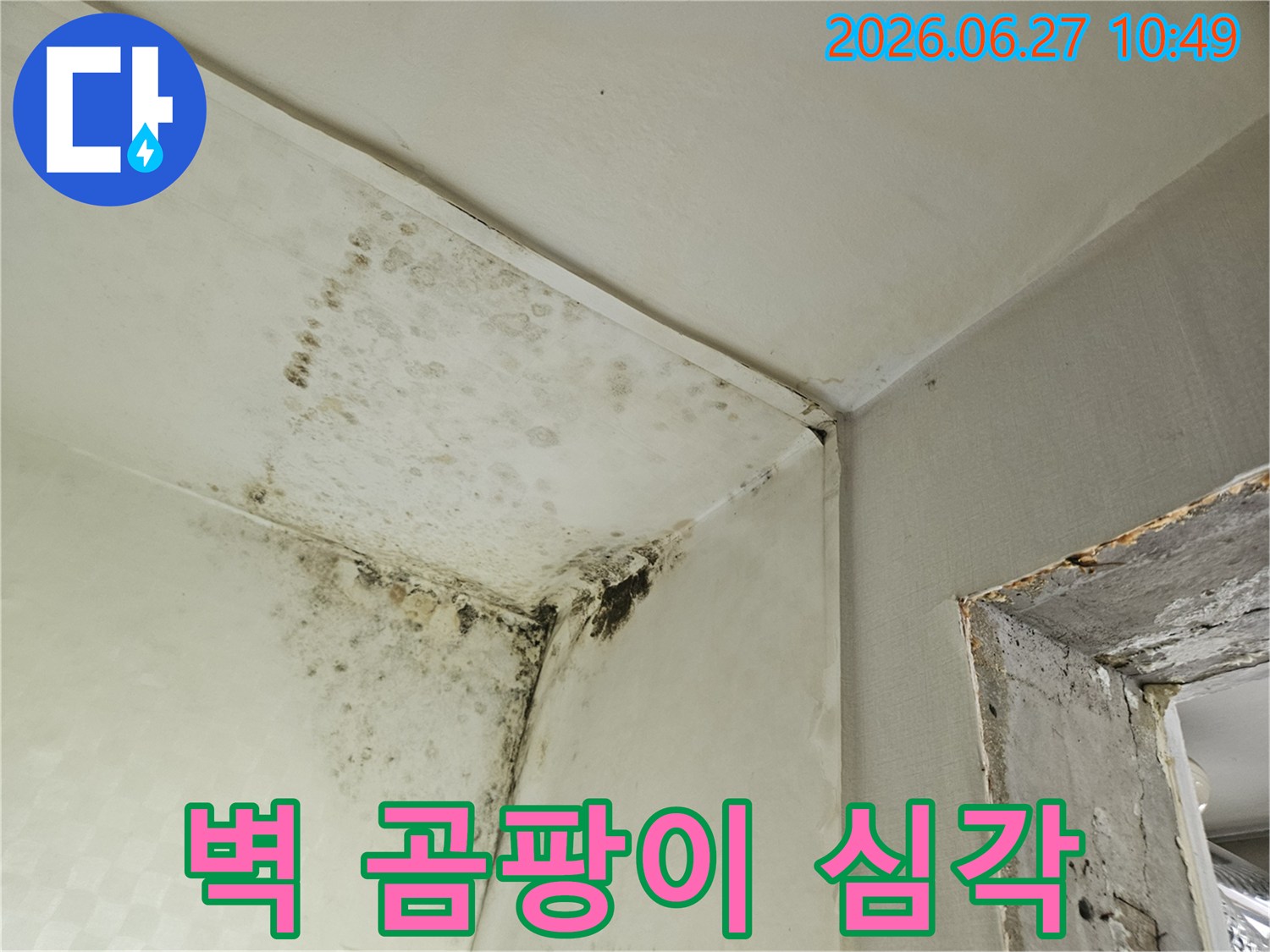 벽과 천장 모서리에 심각하게 번식한 검은 곰팡이의 모습입니다-이는 장기간의 습기 침투로 인한 주택의 구조적-위생적 문제를 나타냅니다.