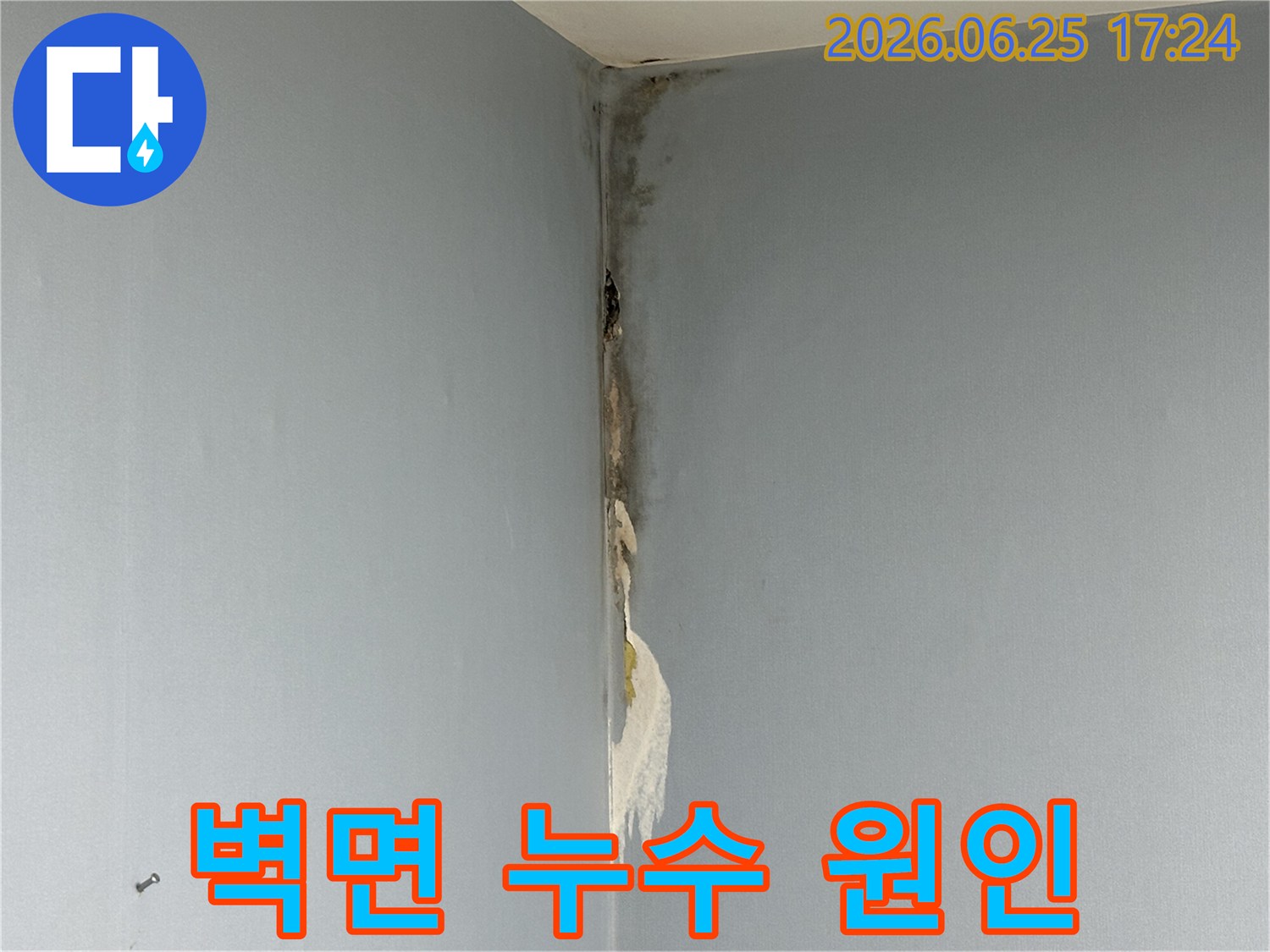 아파트-벽면-코너에서-발생한-누수로-인해-벽지가-젖어-들뜨고-심한-곰팡이가-피어난-손상-상태를-보여주는-사진입니다