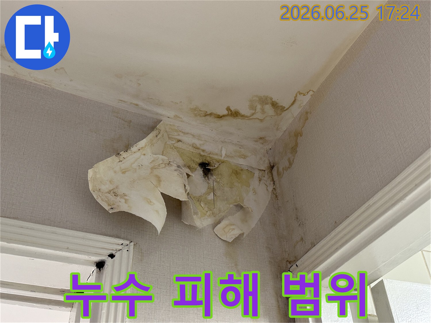 주거 공간의-천장과 벽면에서-확인된 물 얼룩과-벽지 손상으로-누수 문제의-심각성을 나타냅니다