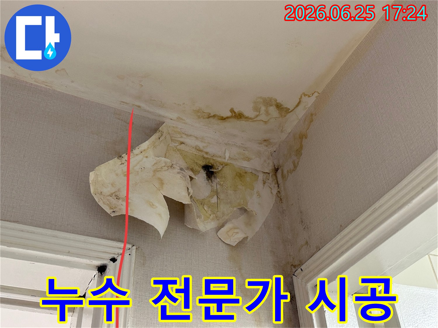 천장과 벽면의 곰팡이와 물 얼룩은 심각한 누수 문제와 그로 인한 구조적 손상을 시사합니다.