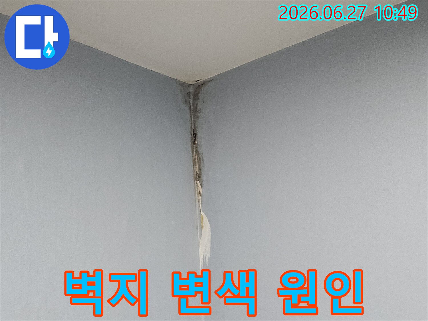 천장과 벽이 만나는 모서리 부분에 누수로 인해 벽지가 젖고 변색되어-누수 원인 탐지가 시급함을 보여주는 현장 사진입니다.