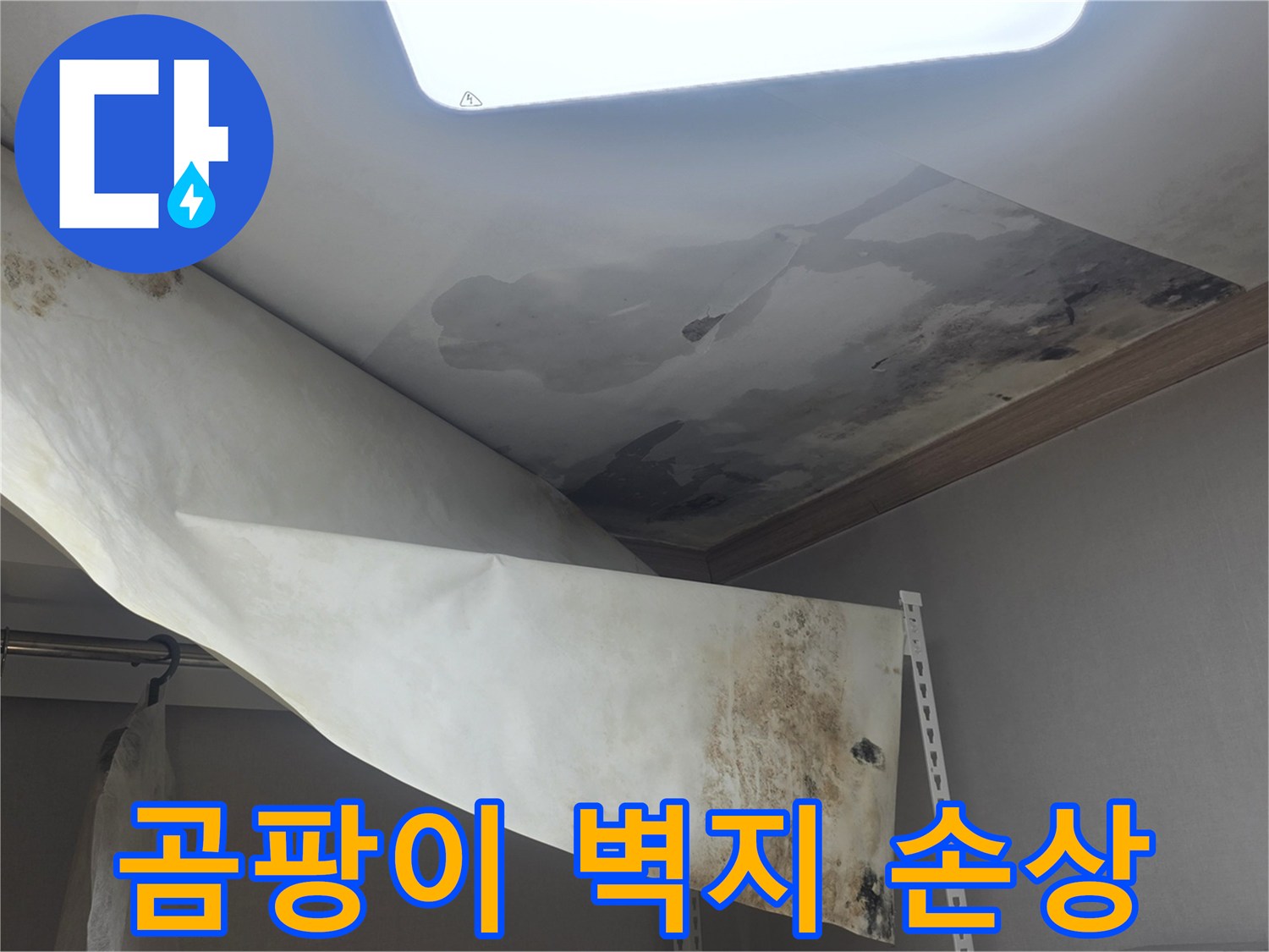 물기로 인해 손상된-천장과 벽지의-곰팡이 발생 현장을-정밀하게 촬영한 사진입니다