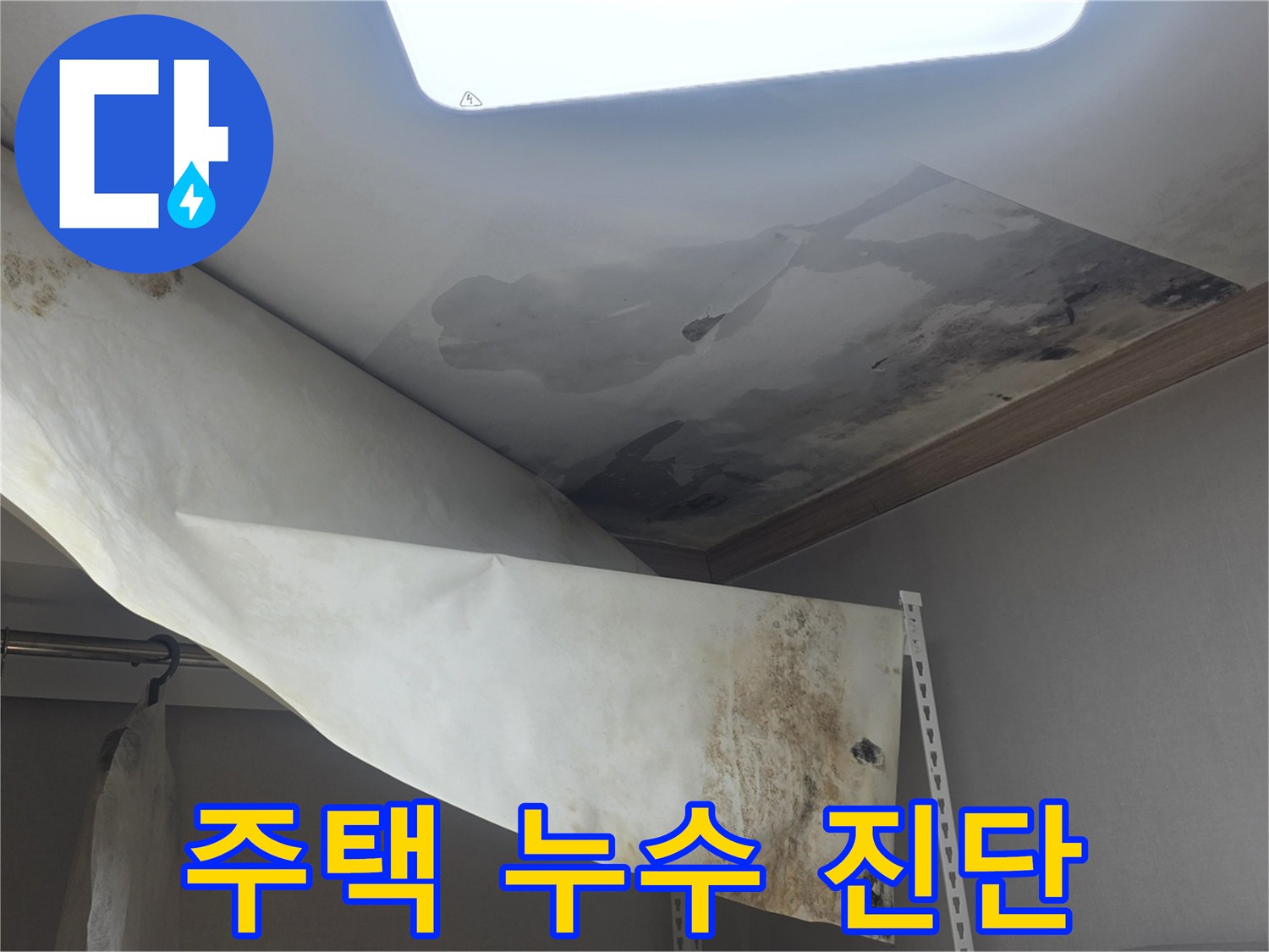 주택 천장에서 물이 새서-벽지가 젖고-곰팡이가 발생한-현장을 진단 중입니다