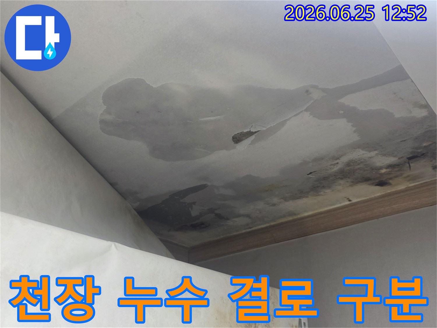 천장 누수로 인해 물에 젖고 변색된 천장 마감재-누수와 결로 현상을 구분하여 진단해야 하는 현장