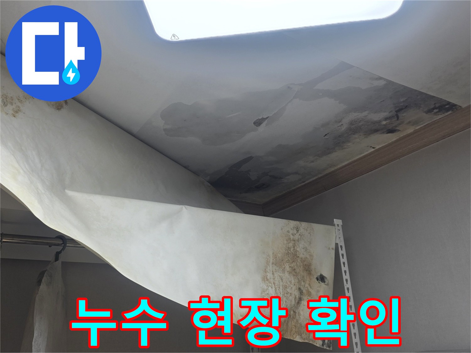 천장 벽지가 물에 젖어-들뜨고 떨어져 내리며-검은 곰팡이가 심하게 피어난-누수 현장입니다