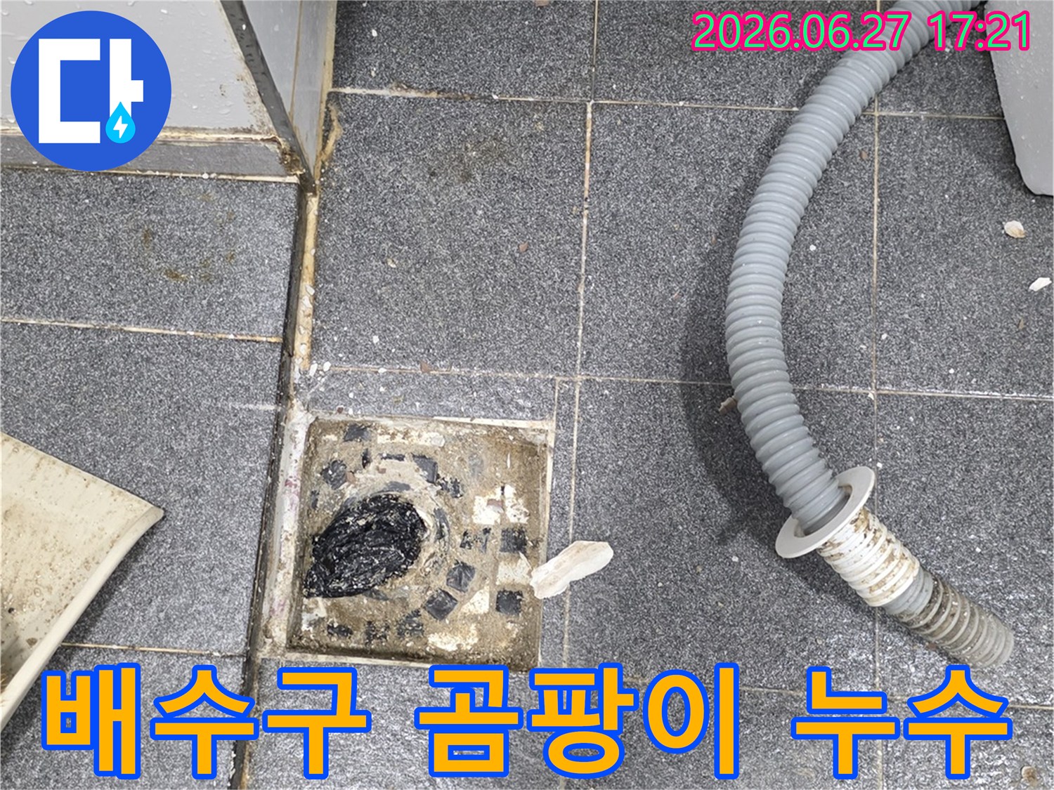 세탁실 바닥 배수구 주변에-곰팡이가 피어있고-누수 흔적이 보이는-복합적인 문제를-촬영한-현장 사진입니다