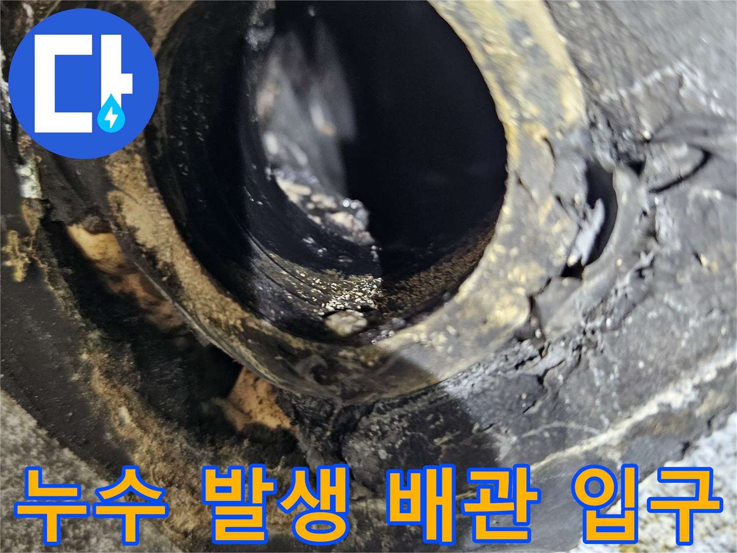 세면대-배수관-주변의-습기와-오염물질