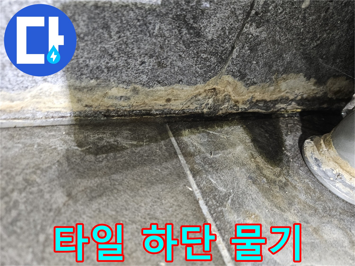 습기로 인해 검게 변한 타일 경계선 부분