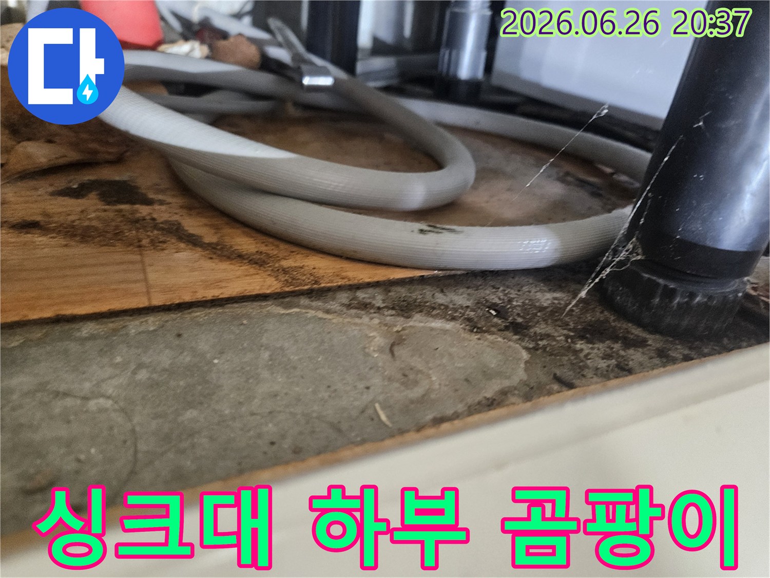 습기와-곰팡이로-얼룩진-싱크대-하부-공간의-위생-불량-상태