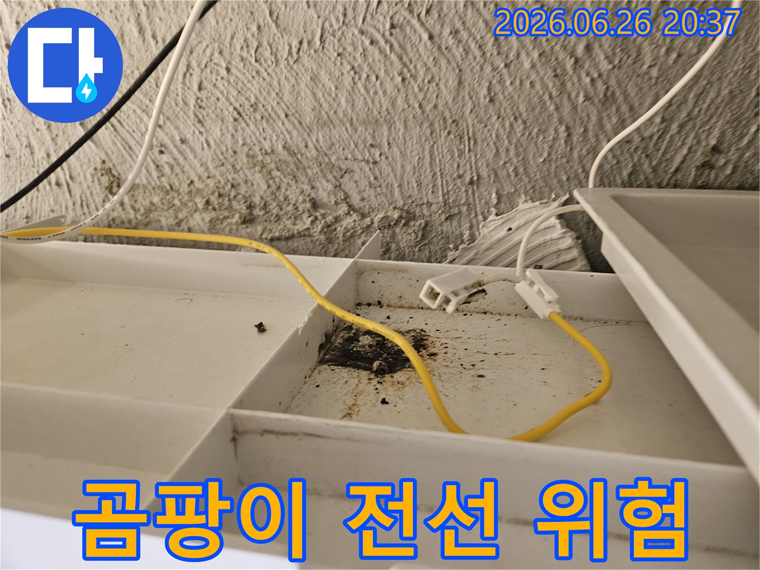 천장 내부의-곰팡이와-젖어있는 전선이-동시에 발견된-위험한 상황