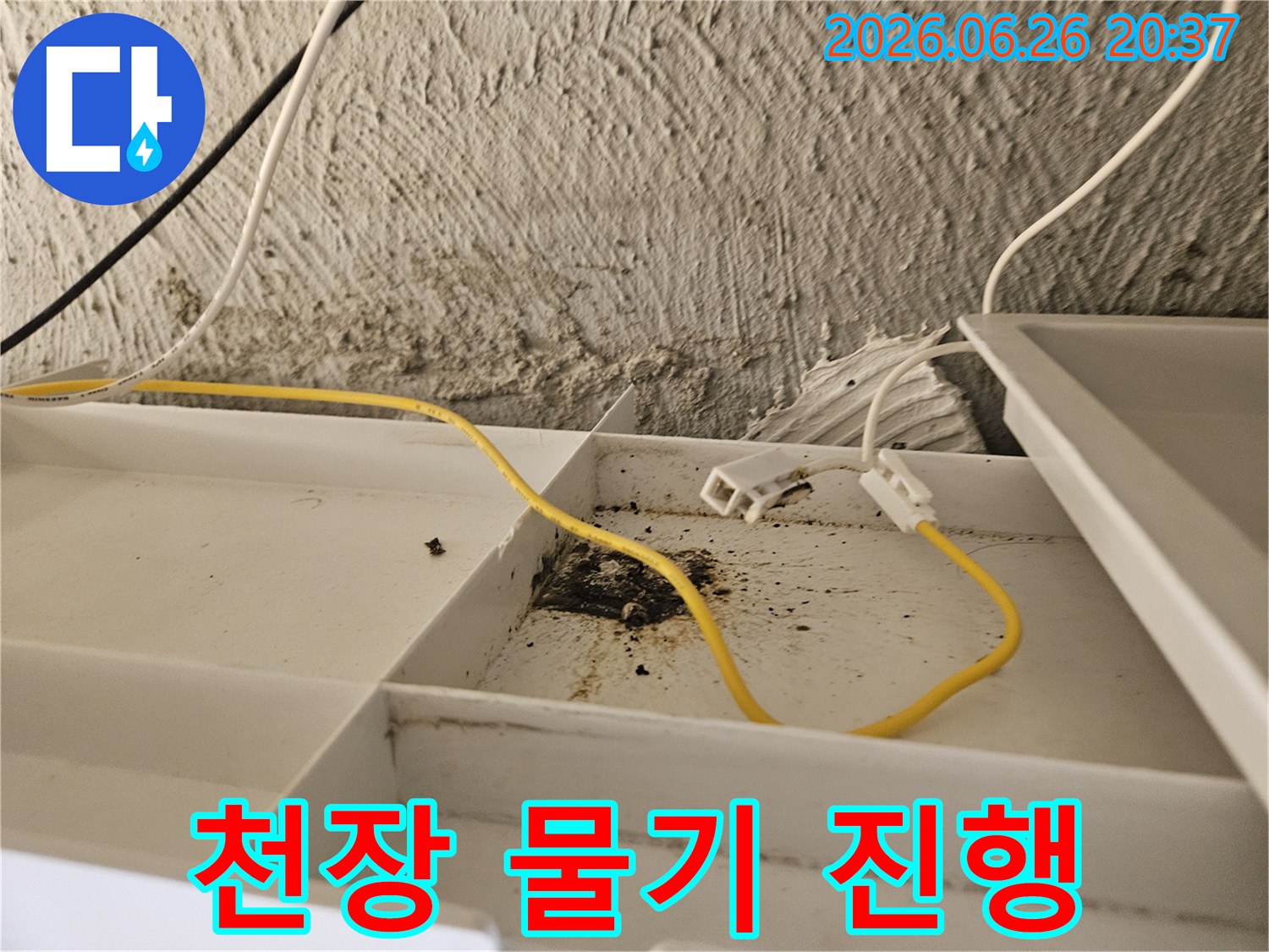 천장 내부의-오염된 부분에서-물기가 계속 스며들어-피해가 진행되는-누수 현장