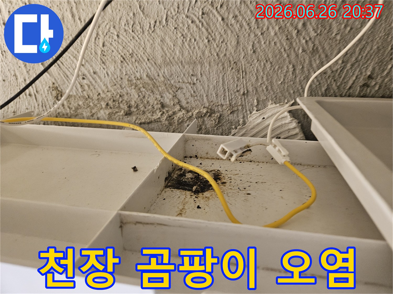 천장 패널 안쪽-오래된 누수로 인해-발생한-검은 곰팡이와-물자국