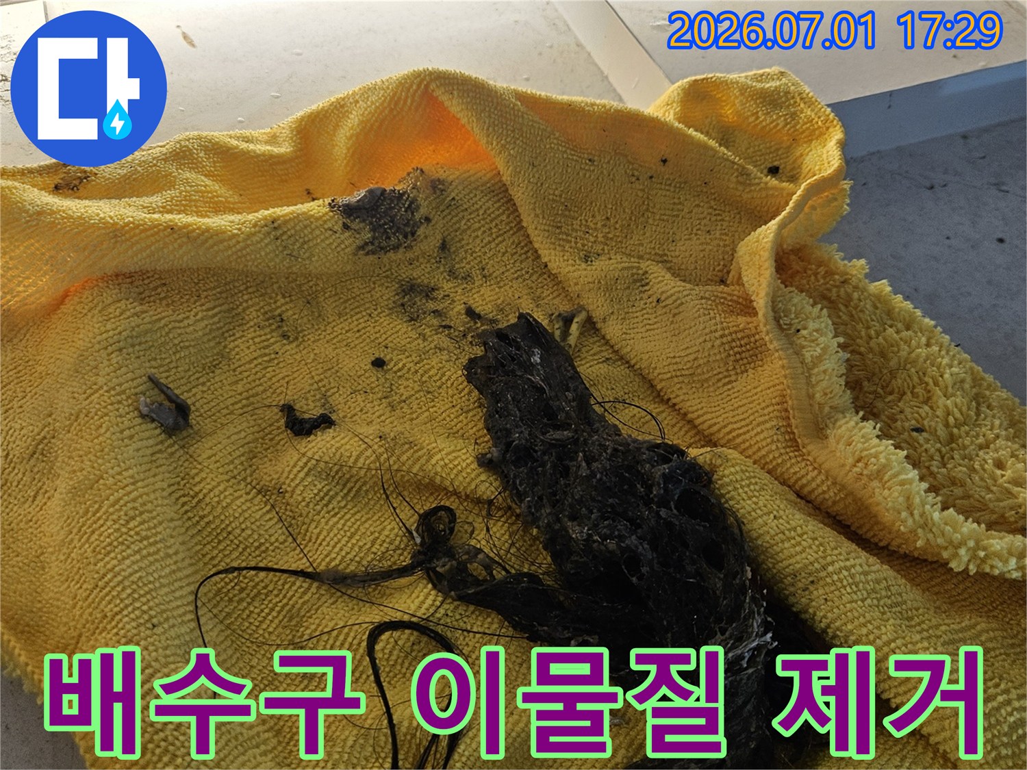 노란색 수건 위에 놓인-배수구에서 제거된-머리카락과 슬러지 덩어리입니다-이는 배수구 막힘의 주된 원인입니다