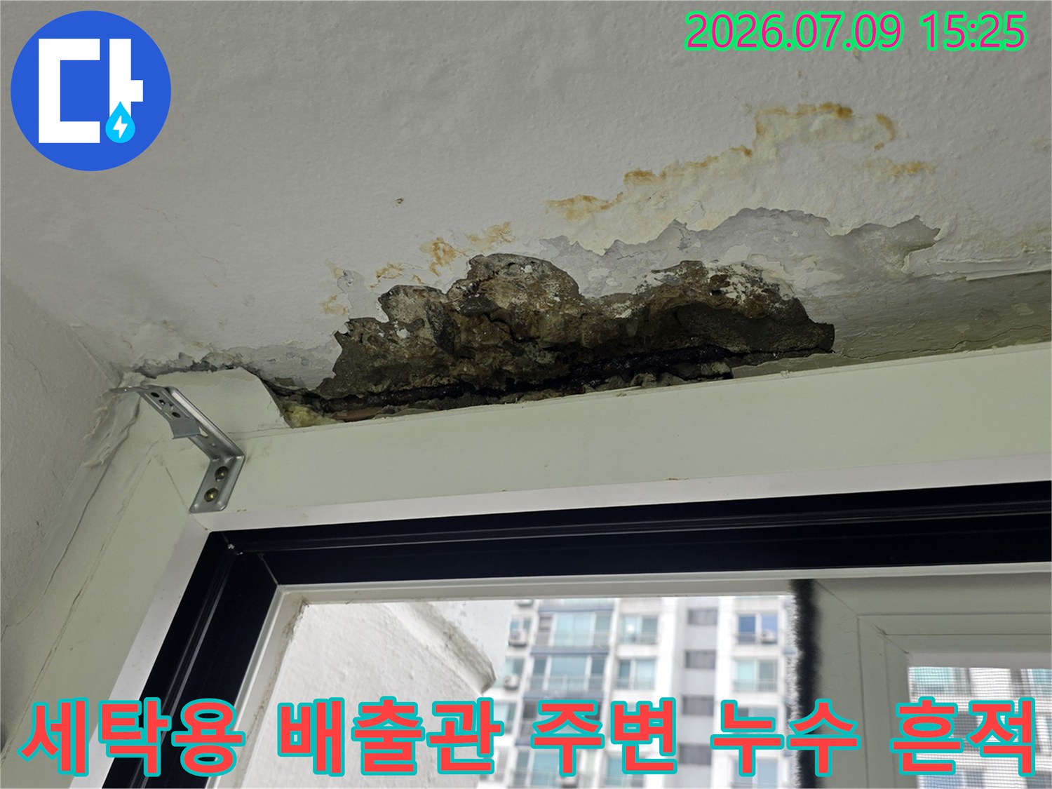 배수 트랩 상부에 곰팡이와 물샘으로 오염된 천장 마감재 모습