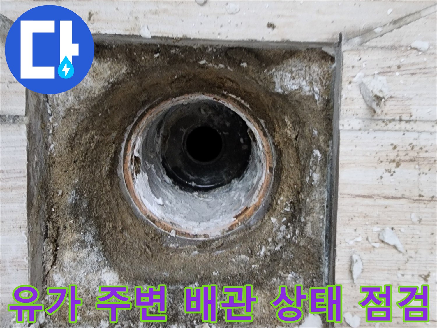 배수구와 연결된 파이프의 노출 부위를 정밀하게 점검함